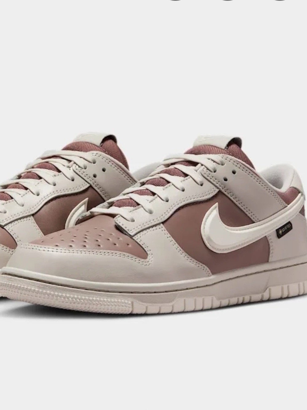 NIKE Dunk 🐐 GORE TEX